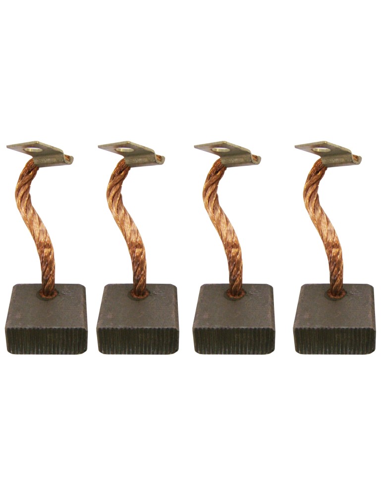 JEU DE 4 CHARBONS MOTEUR TREUIL COME UP JEU DE 4 CHARBONS MOTEUR TREUIL COME UP