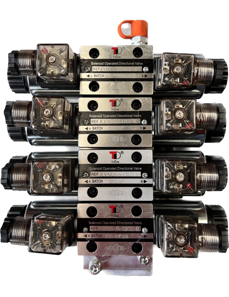 GROUPE ELECTRO-POMPE 4 FONCTIONS 