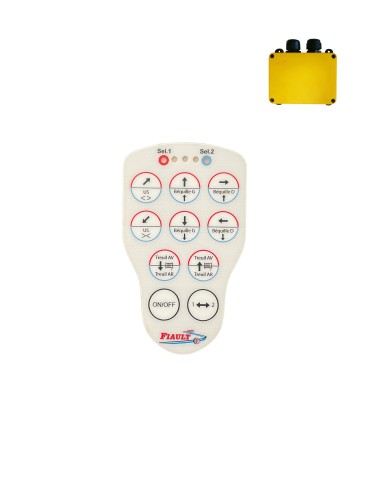 10-BUTTON PN-T21-10 FRONT PANEL FOR 4X4 WITH US BASKET - CRUTCHES - 2 WINCHES