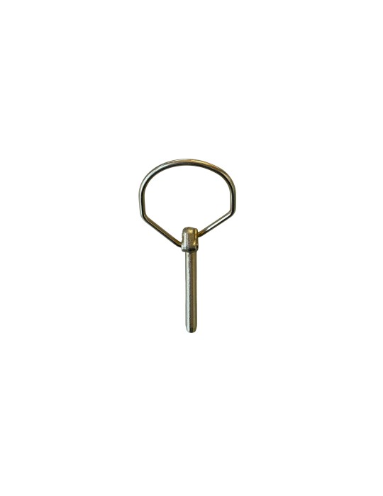 GOUPILLE CLIPS D10