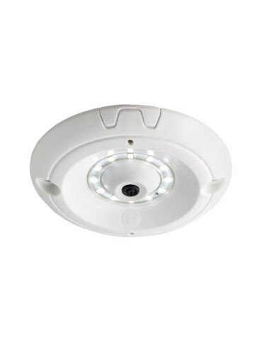 ECLAIRAGE DE COFFRE A LEDS ROND AVEC INTERRUPTEUR CENTRAL
