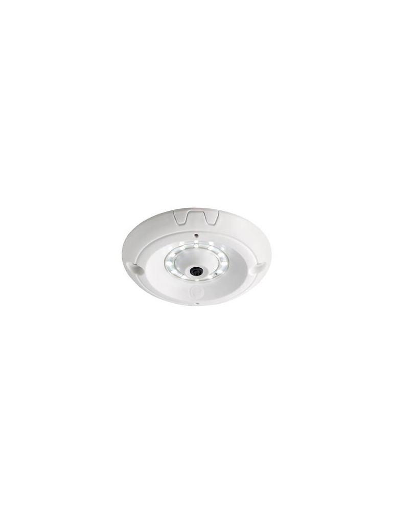 ECLAIRAGE DE COFFRE A LEDS ROND AVEC INTERRUPTEUR CENTRAL