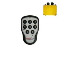 Emetteur TELERADIO PANTHER